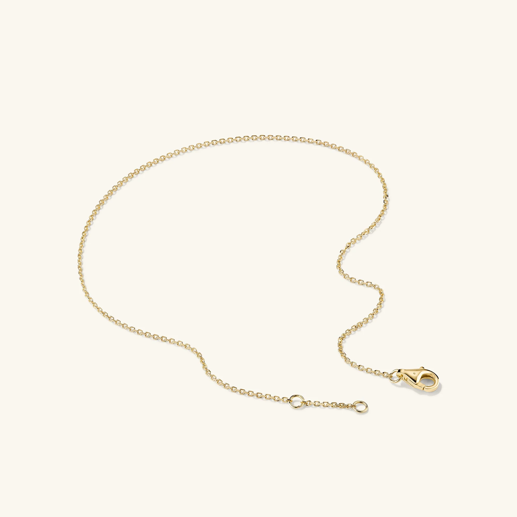 Chain Anklet - Image 4
